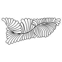 feather element 003